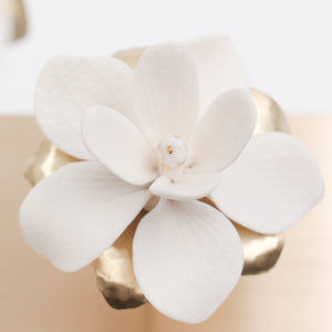 Porcelain magnolia flowers on brass tree for interior decoration - by Alain Granell
