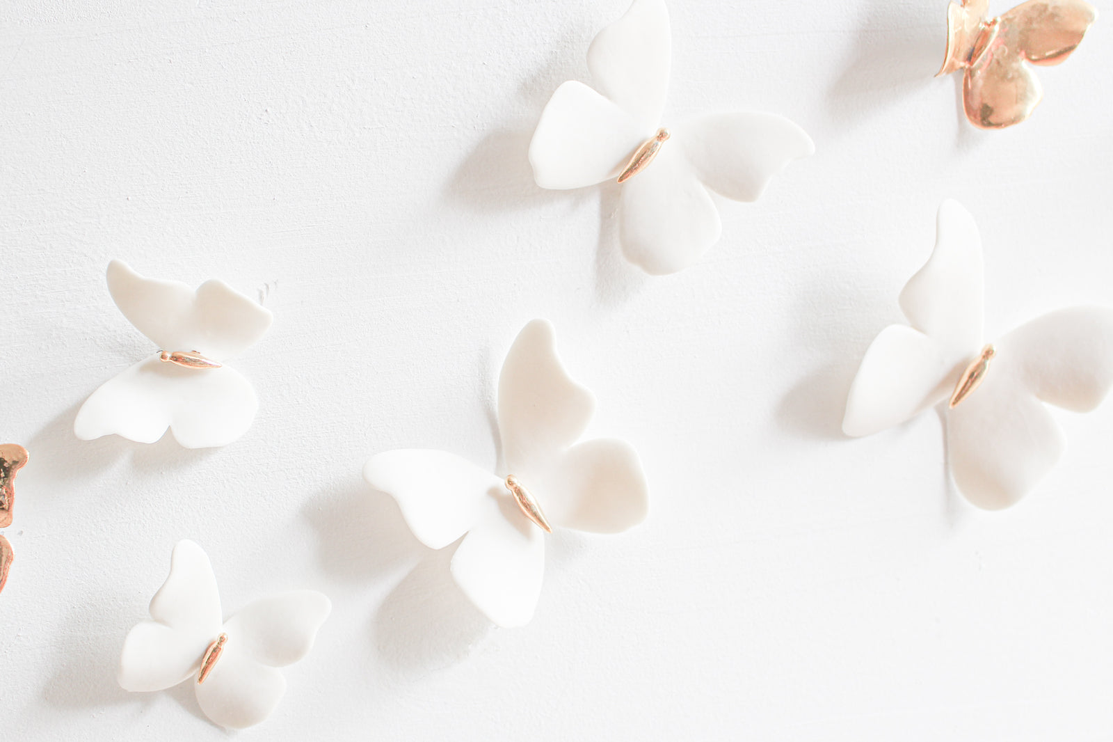 Wall Decor of Porcelain Butterflies by Alain Granell